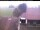Webcam in Hunderdorf, 16.4 km entfernt