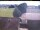 Webcam in Hunderdorf, 19.2 km