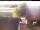 Webcam in Hunderdorf, 0.8 mi away