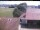 Webcam in Hunderdorf, 1.7 mi away