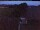Webcam in Hunderdorf, 5.2 mi away