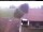 Webcam in Hunderdorf, 16.4 km entfernt