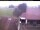 Webcam in Hunderdorf, 37.2 km