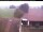 Webcam in Hunderdorf, 19.2 km entfernt