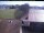 Webcam in Hunderdorf, 4.7 mi away