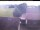Webcam in Hunderdorf, 13.3 km