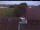 Webcam in Hunderdorf, 6.5 mi away