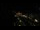 Webcam in Berlin, 47 km entfernt