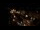 Webcam in Berlin, 3.7 km entfernt