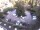 Webcam in Merano, 4.4 km