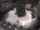 Webcam in Meran, 0.2 mi away