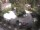 Webcam in Meran, 2.6 mi away
