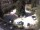 Webcam in Meran, 11.8 km