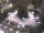 Webcam in Merano, 0.5 km
