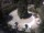 Webcam in Meran, 2.9 km entfernt