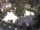 Webcam in Meran, 1.1 mi away