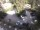 Webcam in Meran, 0.1 mi away