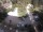 Webcam in Meran, 0.3 km entfernt