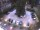 Webcam in Mérano, 2.3 km
