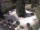 Webcam in Mérano, 2.8 km