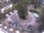 Webcam in Merano, 0.5 km