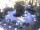 Webcam in Meran, 0.9 mi away