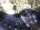 Webcam in Merano, 5.3 km