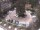 Webcam in Meran, 0.5 km entfernt