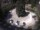 Webcam in Meran, 1.7 mi away