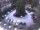 Webcam in Merano, 4 km