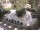 Webcam in Mérano, 0.5 km