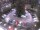 Webcam in Meran, 3 mi away
