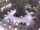 Webcam in Meran, 0.4 mi away