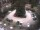 Webcam in Mérano, 6.8 km