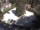 Webcam in Meran, 0.2 mi away