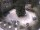 Webcam in Meran, 0.2 mi away