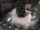 Webcam in Meran, 0.5 km entfernt