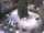Webcam in Meran, 0.5 km entfernt