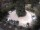 Webcam in Meran, 2.4 km entfernt