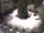 Webcam in Meran, 0.5 km entfernt