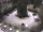 Webcam in Meran, 2.8 km entfernt