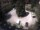 Webcam in Meran, 2.2 km entfernt