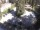 Webcam in Meran, 11.8 km