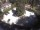 Webcam in Meran, 11.8 km