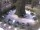 Webcam in Meran, 2.8 km entfernt