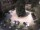 Webcam in Meran, 11.1 km