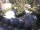 Webcam in Meran, 1.1 mi away