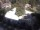 Webcam in Meran, 0.9 mi away