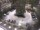 Webcam in Meran, 0.9 mi away