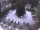 Webcam in Meran, 5.3 km